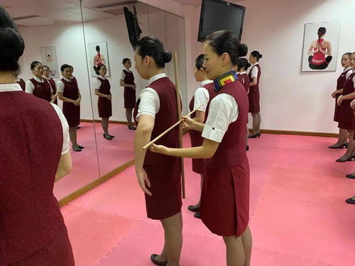 空地聯(lián)動 連接禮儀的紐帶